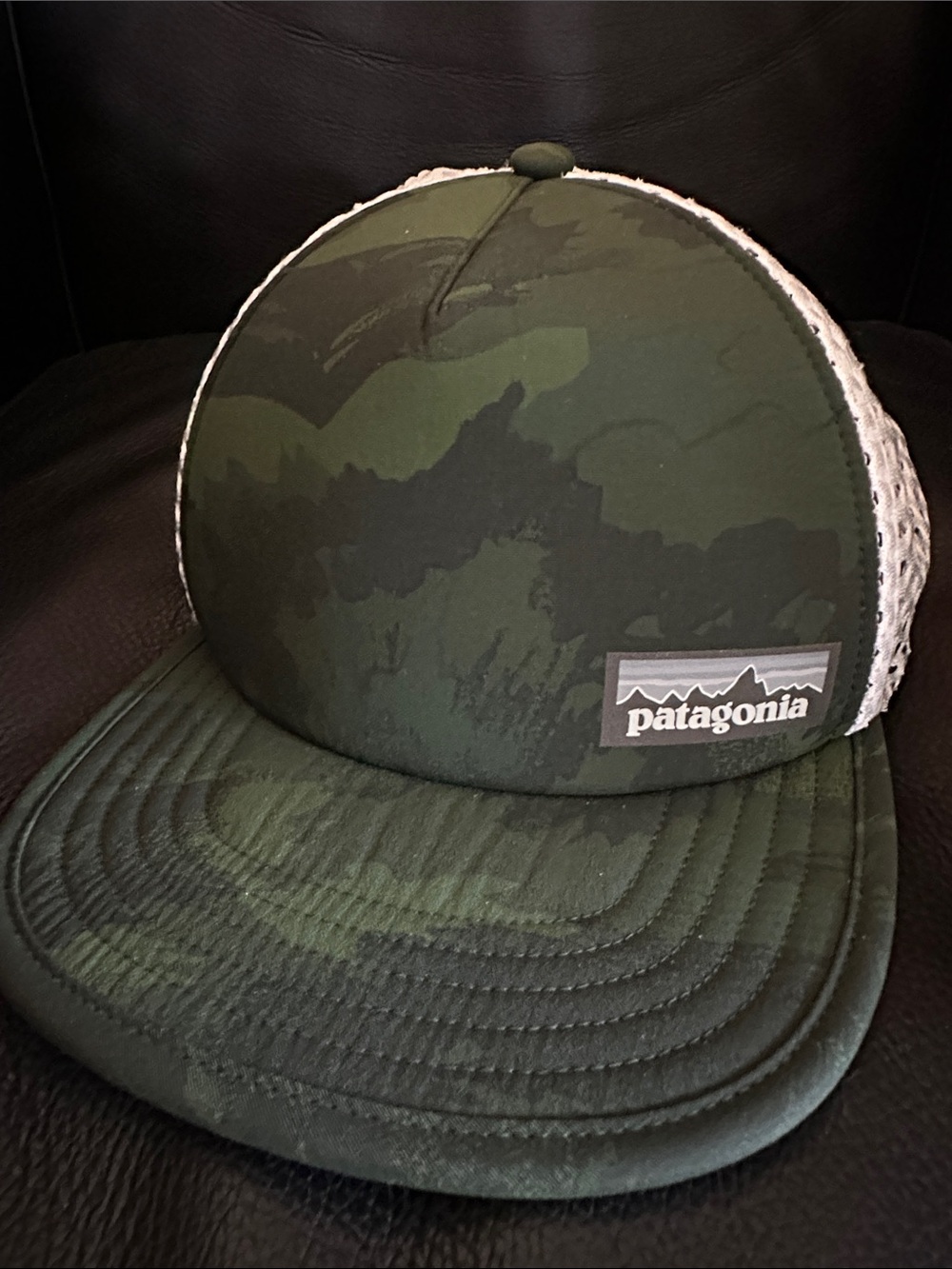 Patagonia Duckbill Trucker Hat